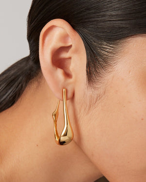 Colette Hoops
