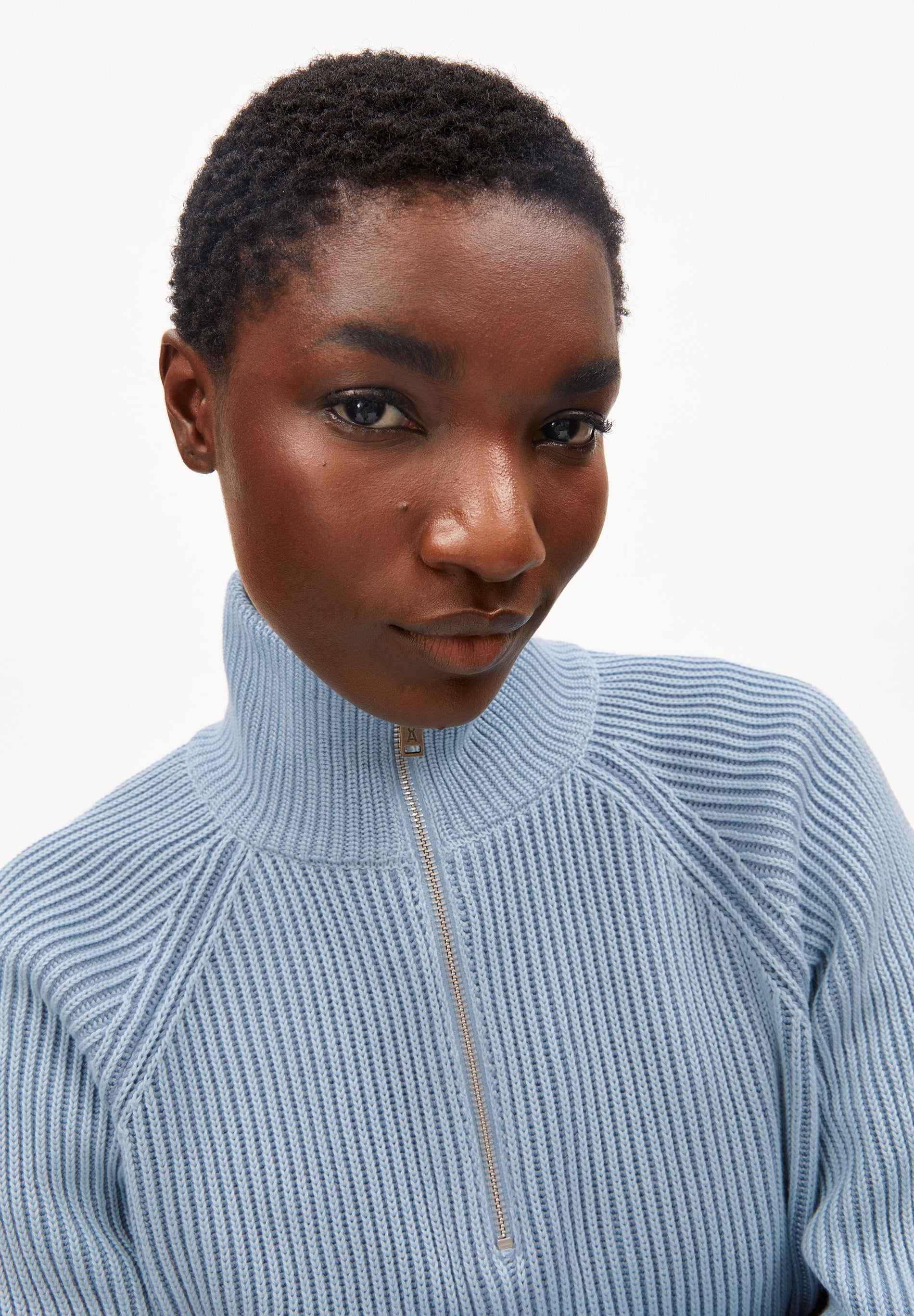 Troyer Vanise Knit Sweater