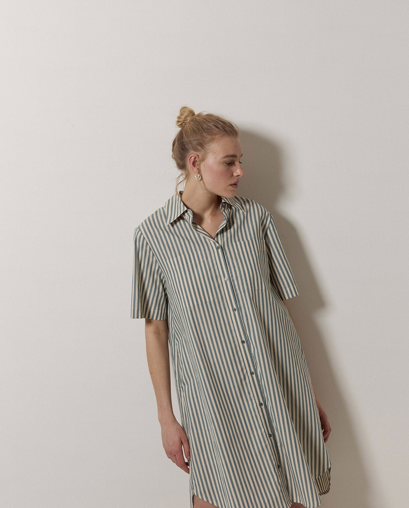 Striped Cotton Shirt Dress