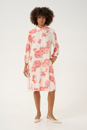 Alexa Dress