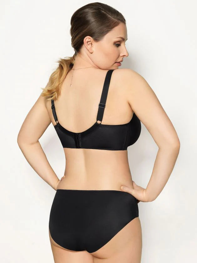 Virginia Classic Brief