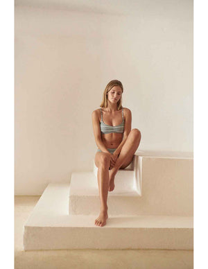 Sedum Bikini